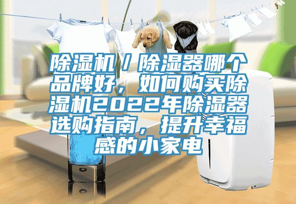 除濕機(jī)／除濕器哪個(gè)品牌好，如何購買除濕機(jī)2022年除濕器選購指南，提升幸福感的小家電
