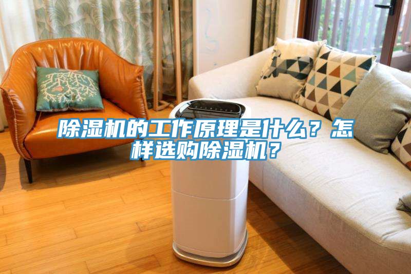 除濕機(jī)的工作原理是什么？怎樣選購(gòu)除濕機(jī)？