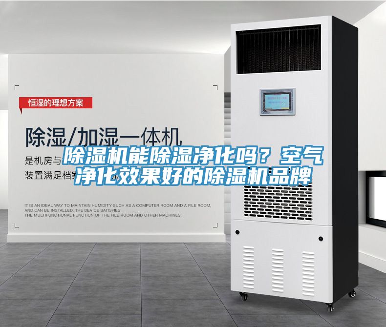 除濕機(jī)能除濕凈化嗎？空氣凈化效果好的除濕機(jī)品牌