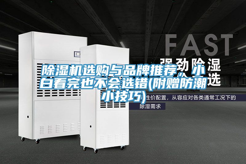 除濕機選購與品牌推薦，小白看完也不會選錯(附贈防潮小技巧)