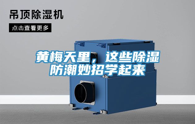 黃梅天里，這些除濕防潮妙招學(xué)起來