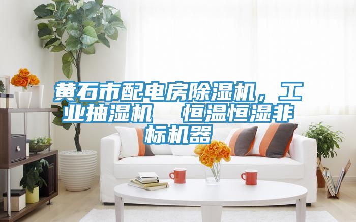 黃石市配電房除濕機，工業(yè)抽濕機  恒溫恒濕非標機器