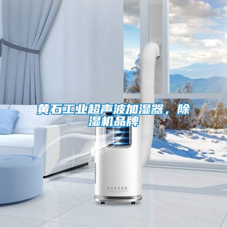 黃石工業(yè)超聲波加濕器，除濕機(jī)品牌