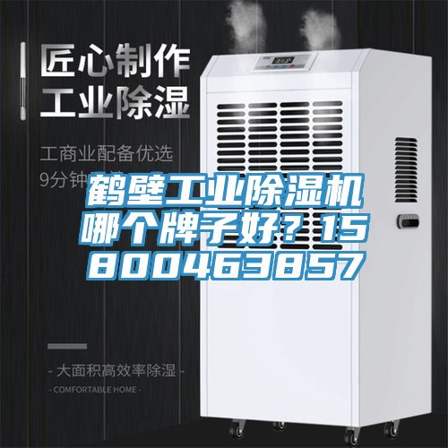 鶴壁工業(yè)除濕機(jī)哪個(gè)牌子好？15800463857